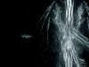 Abstract Wallpapers 79